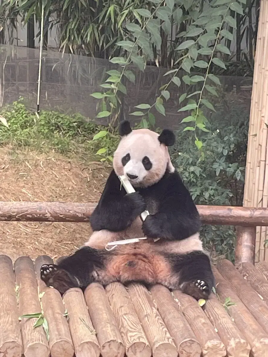 에버랜드 싸게 입장하세요^^